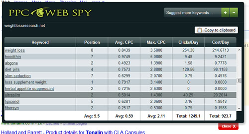 Pay Pay Click Web Spy Results